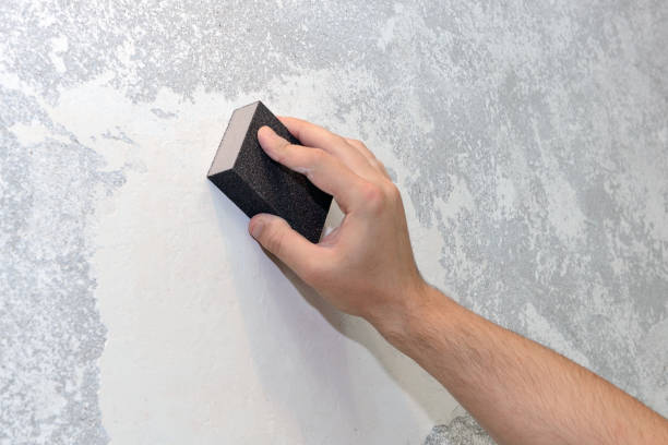 Best Commercial Mold Inspection  in Alafaya, FL