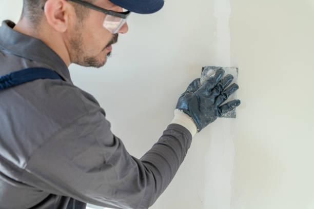 Best Black Mold Removal  in Alafaya, FL