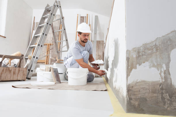 Environmental Consulting for Mold Prevention in Alafaya, FL