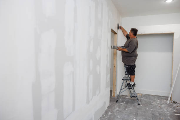 Best Real Estate Mold Inspection  in Alafaya, FL