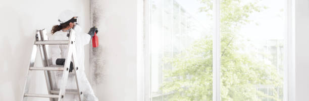 Best Industrial Mold Remediation  in Alafaya, FL