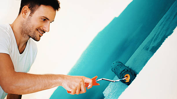 Best Mold Removal for HVAC Installations  in Alafaya, FL