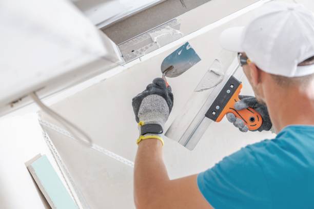 Best Asbestos and Lead Testing During Mold Inspection  in Alafaya, FL